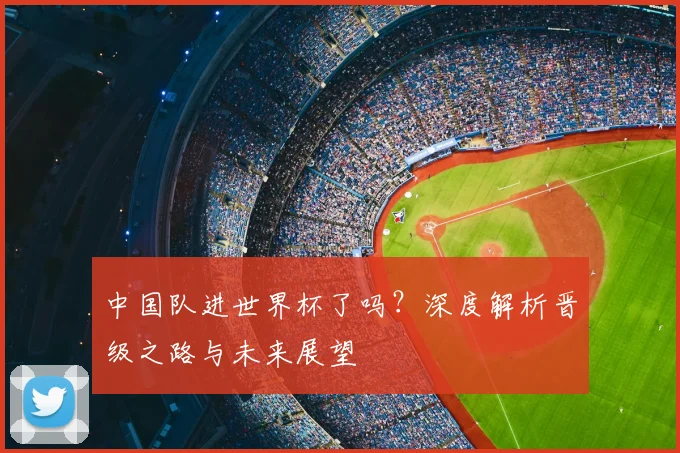 中国队进世界杯了吗？深度解析晋级之路与未来展望