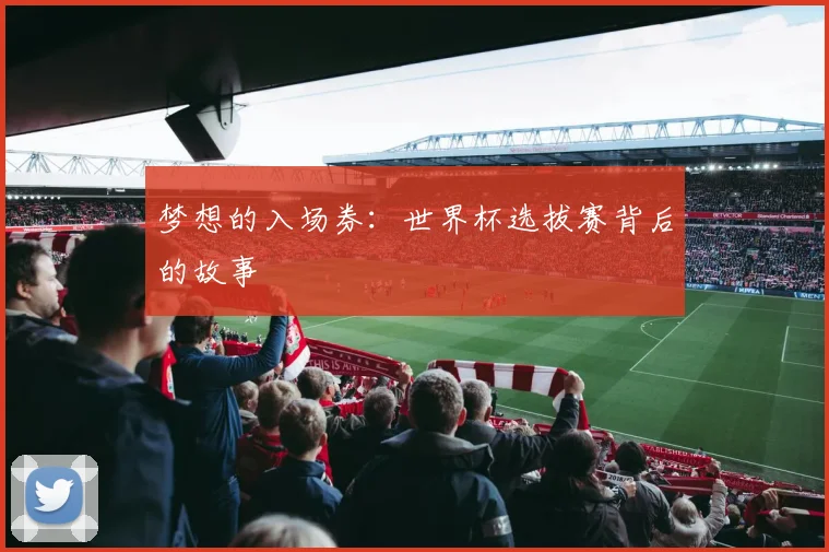 梦想的入场券：世界杯选拔赛背后的故事