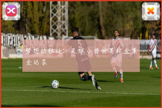 梦想的轨迹：足球小将世界杯全集全记录